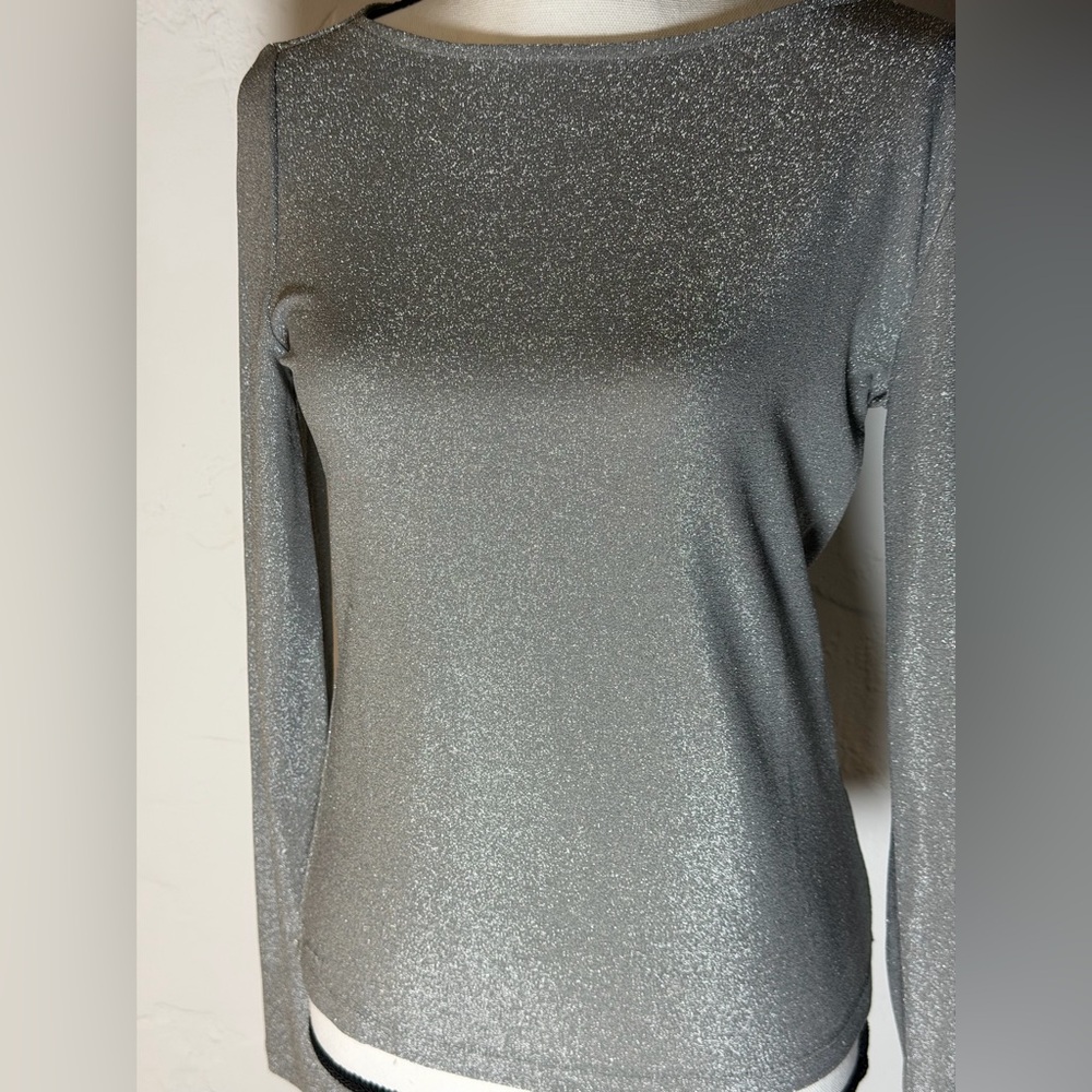 Banana Republic Shimmery Sparkle , Glitter Like Silver Boatneck Ling Sleeve Top